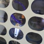 This lil guy saved my day