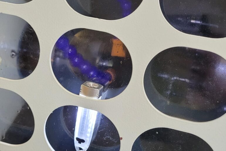 This lil guy saved my day