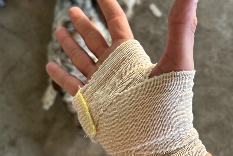 It finally happened fellas.