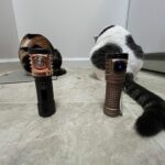 NLD!!! x4 stellar 1800k rosy TiCu