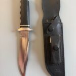 Trident and tiger shark