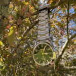 New addition to the set