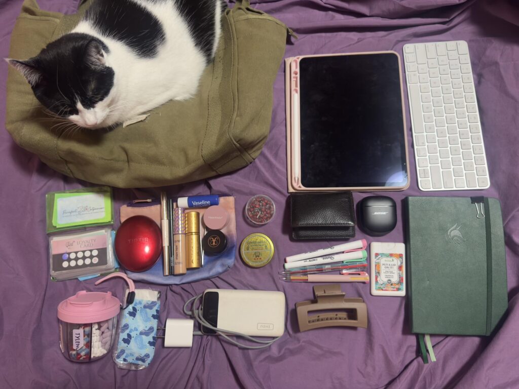 My daily bag. What say you?