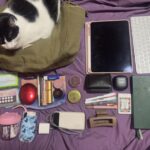 My daily bag. What say you?