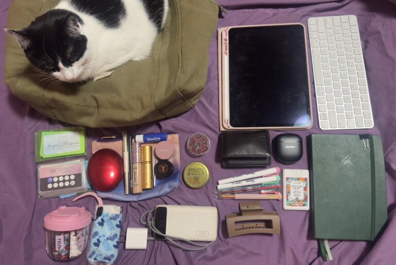 My daily bag. What say you?