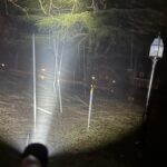 Bean + noob question