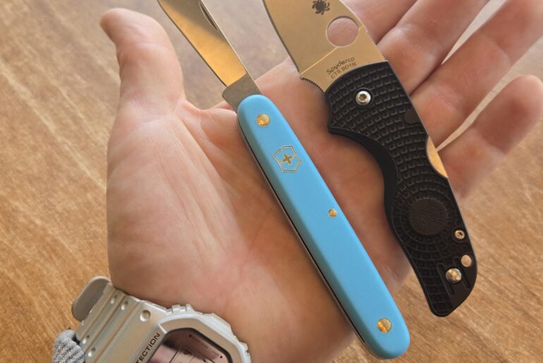 Victorinox Day Packer , G-shock , Spyderco lil Native lightweight. 👍