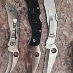My spyders