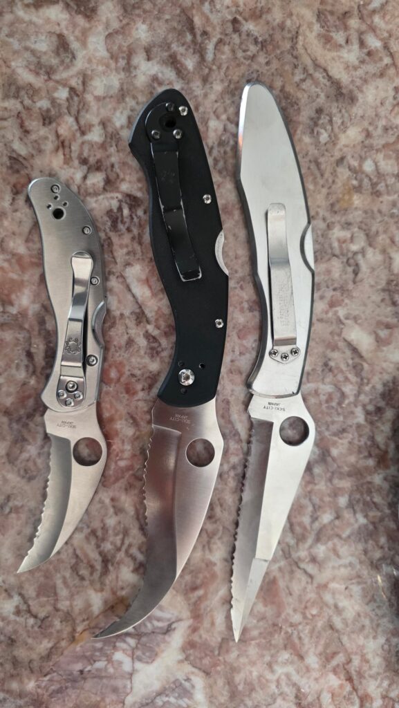 My spyders