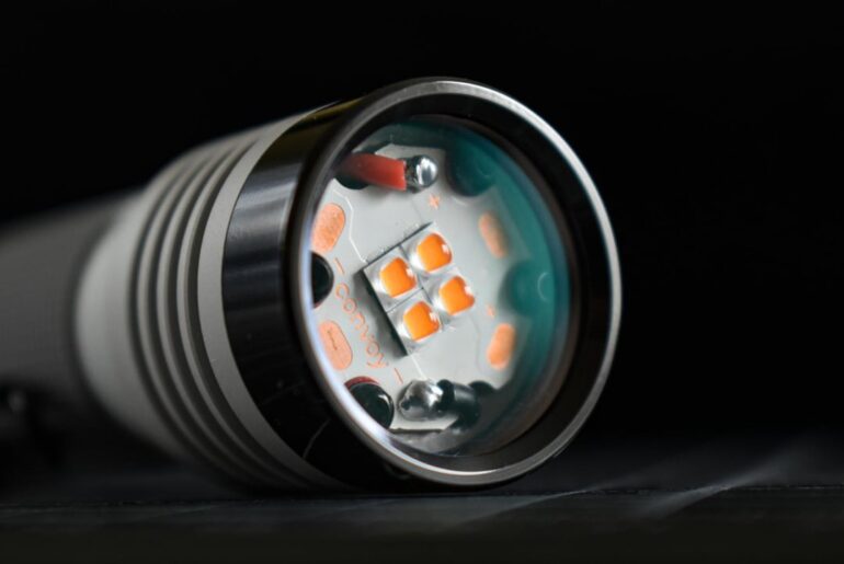 D4V2 219F Quad Central Mule!