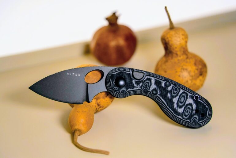 Kizer microbe