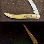 Went for a walk last night and saw something glowing in the grass.