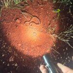 Found this little cutie with the Mirage Man 14500