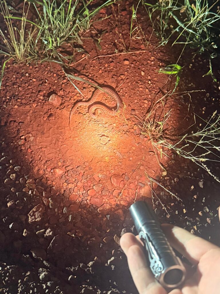 Found this little cutie with the Mirage Man 14500