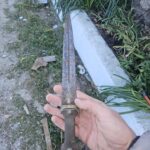 I found this knives in my grandfather's stuff