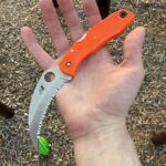 Spyderhawk Kinda Day