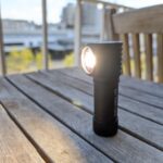 Are mules blinding ?