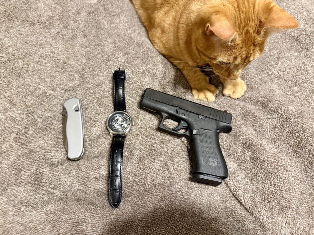Daily Carry