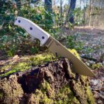Esee 6