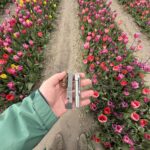 Weekend Trip to Amsterdam