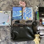 my everyday bag🤓