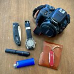 Walk in the woods/New Hobby