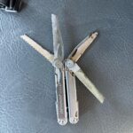 Found this today, anyway to rescue?