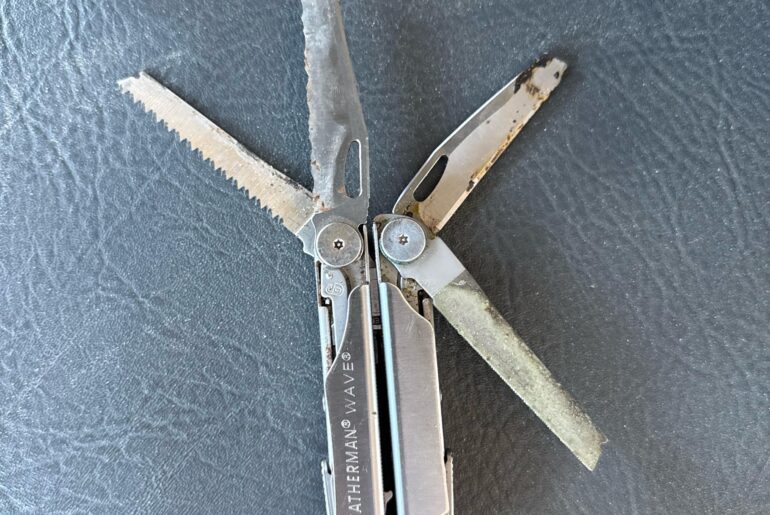 Found this today, anyway to rescue?