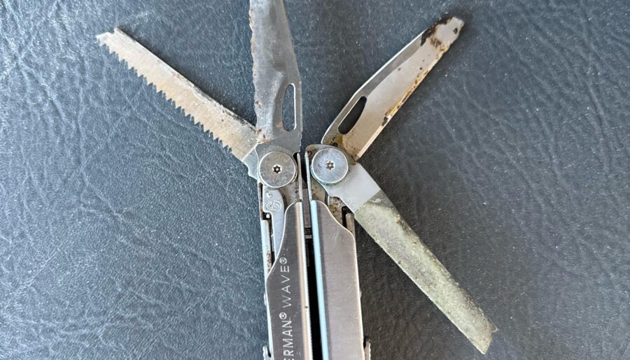 Found this today, anyway to rescue?