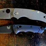 What s beautiful NKD! Should probably call an Entomologist.....