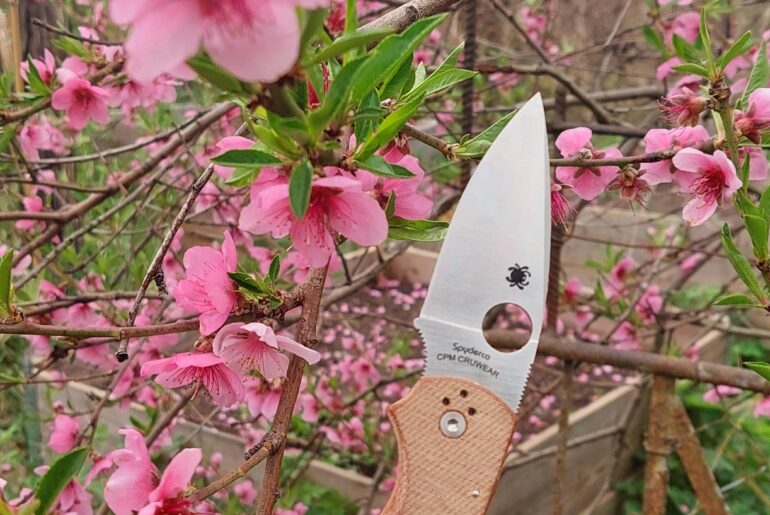 This knife will cut the peaches from these flowers