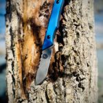 What do you think of this blade shape?