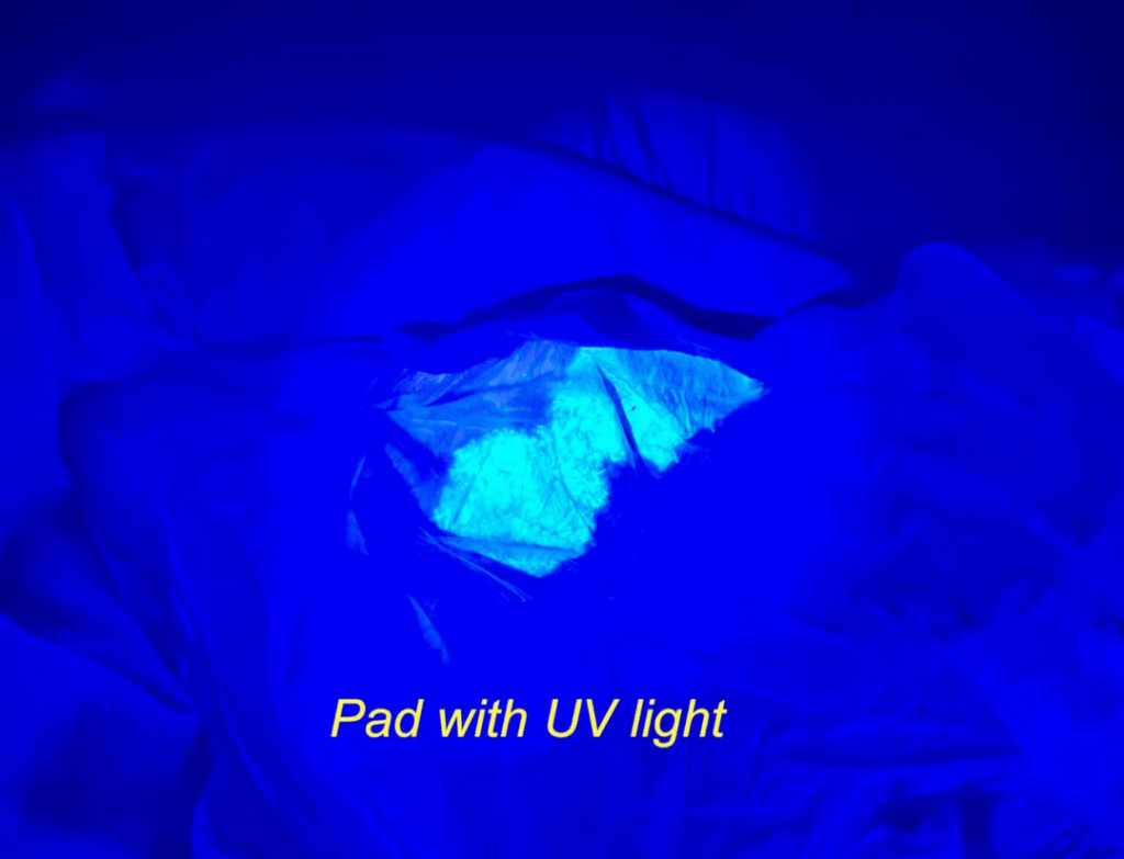 395nm UV lights are grossly underrated for household inspection stuff
