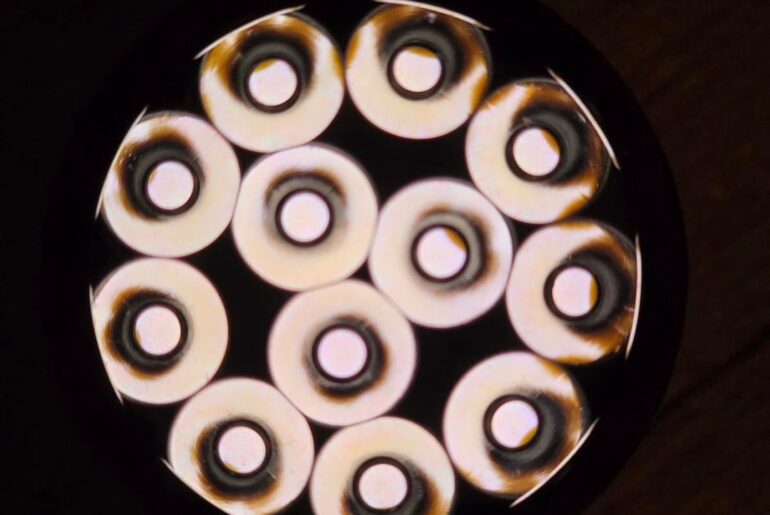 NLD E12 Eclipse arrived!