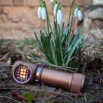 The mule of mine. Fireflies L60🤎