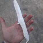 Alligator jaw bone Knife.