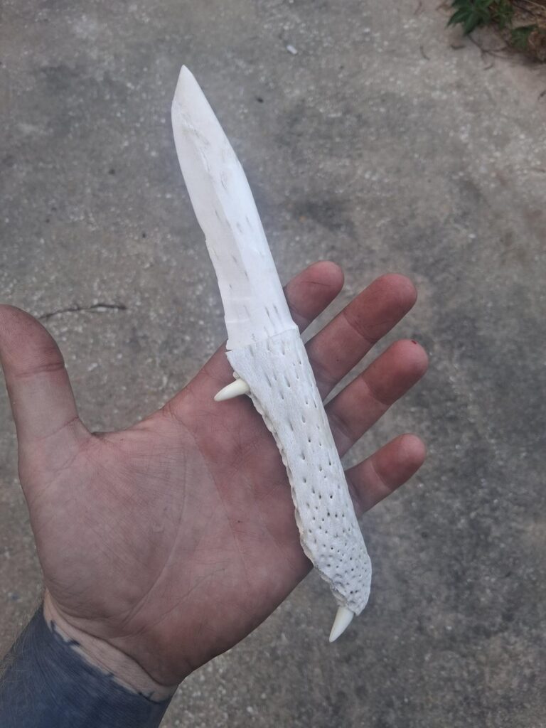 Alligator jaw bone Knife.