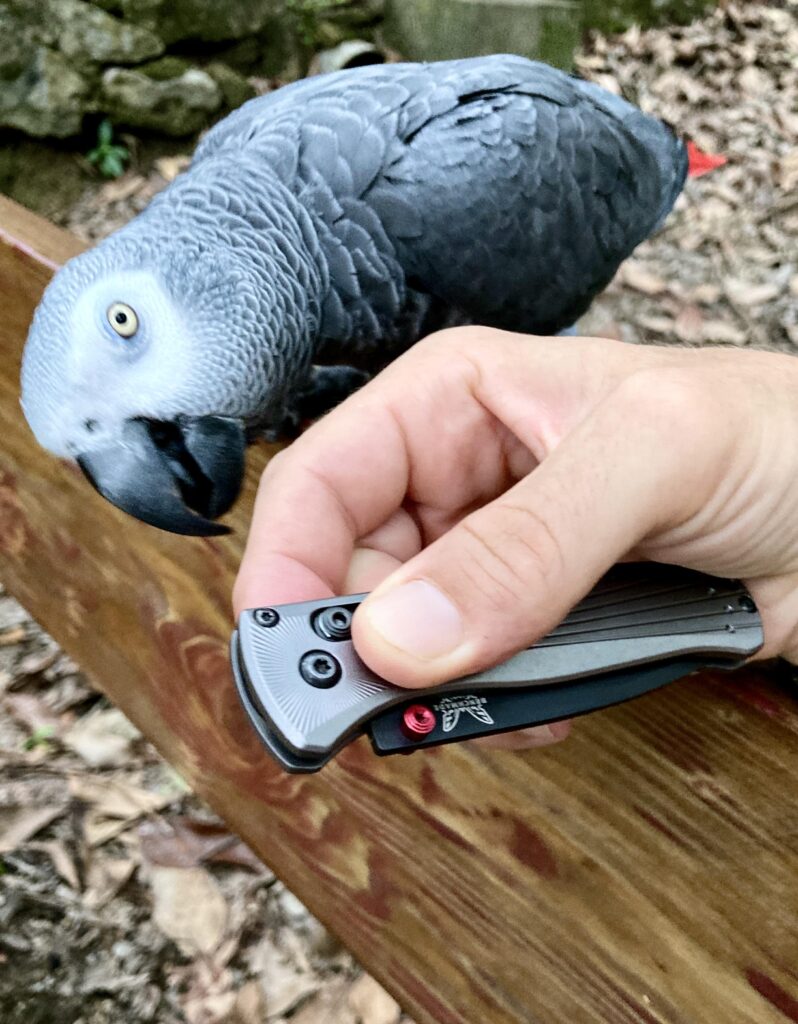 Today's carry