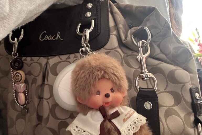 What’s in my baggg