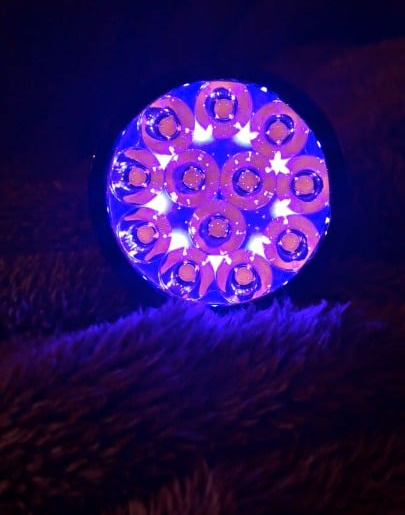 I'm a sucker for auxiliary lights, and these are ... chefs kiss..