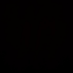 Convoy s12 geht bei 100% aus