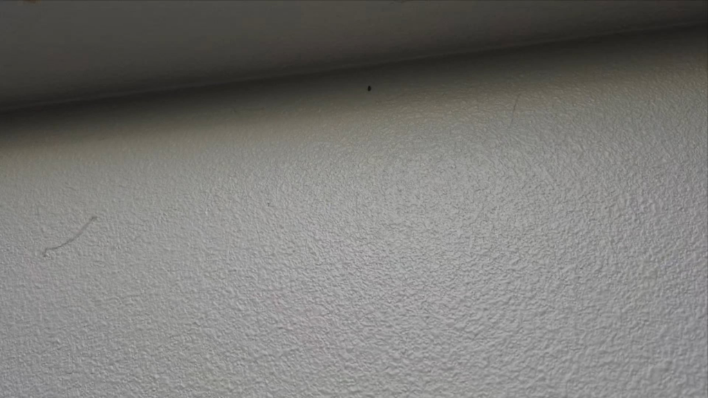 I have a drain-bug problem. I think I found a solution...