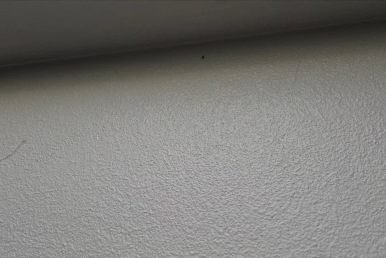 I have a drain-bug problem. I think I found a solution...