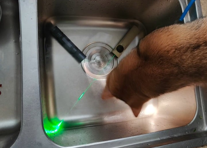 Found a babby-shaped flashlight enthusiast