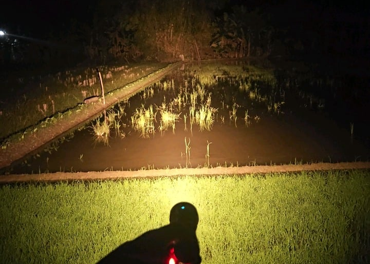 FFL E04 Surge 4x Sft70 3k lume X1 Ledil 12-degree