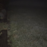 Anybody else look forward to a good, foggy night, solely to play with their lights?