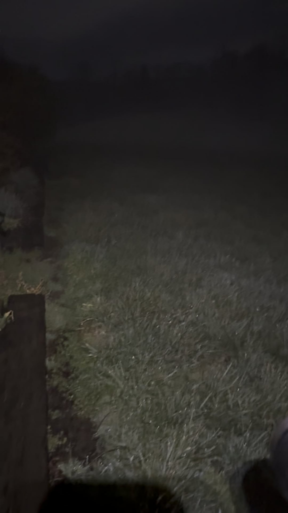 Anybody else look forward to a good, foggy night, solely to play with their lights?