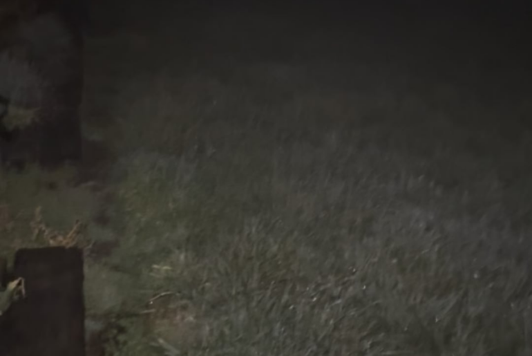 Anybody else look forward to a good, foggy night, solely to play with their lights?