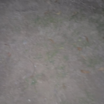 Convoy S2+ CU/brass FET driven NV1010