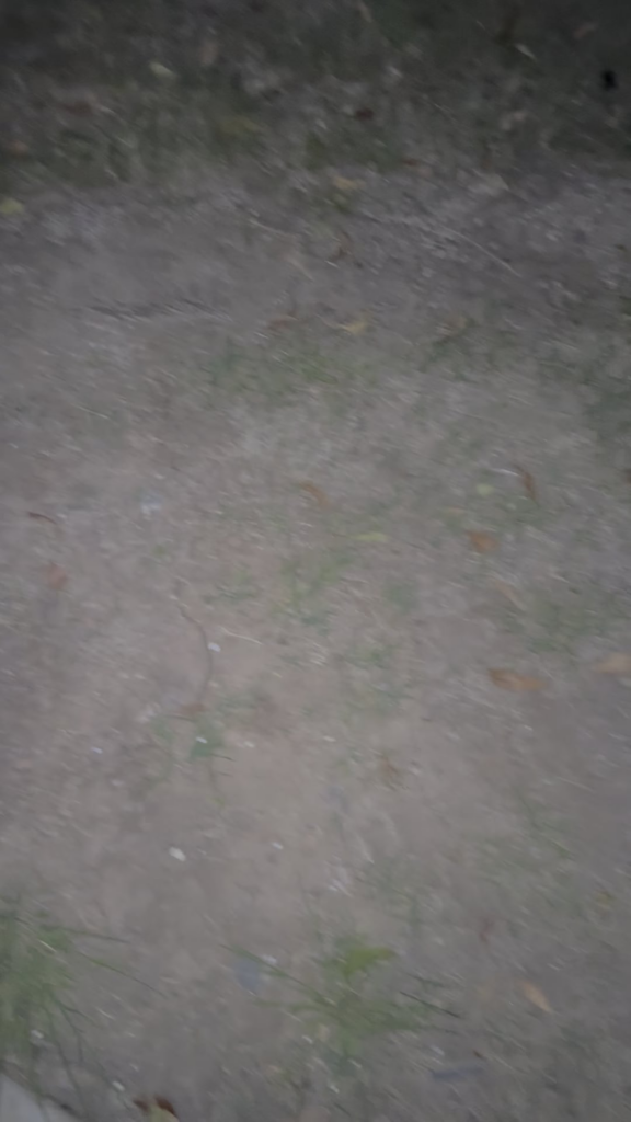 Convoy S2+ CU/brass FET driven NV1010